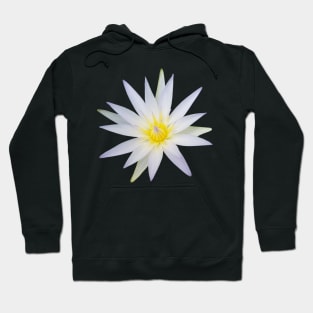 Egyptian Lotus Flower Hoodie